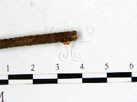 登錄號:F0001142藏品圖，第4張