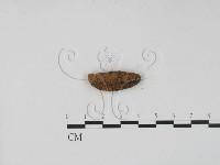 登錄號:F0001146藏品圖，第1張