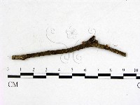 登錄號:F0001147藏品圖，第3張