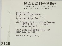 登錄號:F0001152藏品圖，第2張