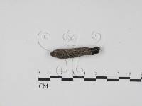 登錄號:F0001152藏品圖，第1張