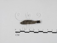 登錄號:F0001152藏品圖，第3張