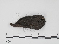 登錄號:F0001154藏品圖，第1張