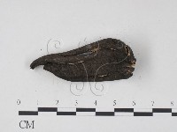 登錄號:F0001154藏品圖，第3張