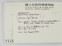 登錄號:F0001155藏品圖，第2張