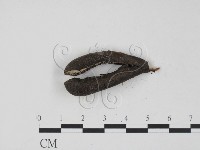 登錄號:F0001155藏品圖，第3張