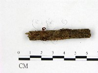 登錄號:F0001156藏品圖，第1張