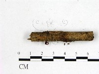 登錄號:F0001156藏品圖，第3張