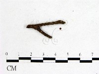 登錄號:F0001157藏品圖，第1張