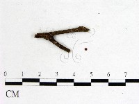 登錄號:F0001157藏品圖，第3張