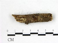 登錄號:F0001158藏品圖，第1張