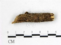 登錄號:F0001158藏品圖，第3張