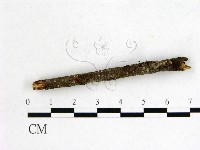 登錄號:F0001159藏品圖，第1張
