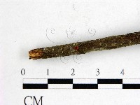 登錄號:F0001159藏品圖，第3張
