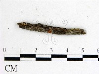 登錄號:F0001160藏品圖，第1張