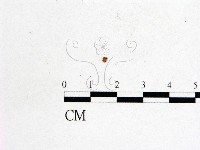 登錄號:F0001161藏品圖，第1張