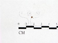 登錄號:F0001161藏品圖，第3張
