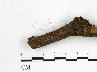 登錄號:F0001163藏品圖，第1張