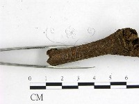 登錄號:F0001163藏品圖，第3張