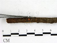 登錄號:F0001164藏品圖，第1張