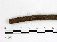 登錄號:F0001164藏品圖，第3張