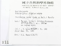 登錄號:F0001165藏品圖，第2張