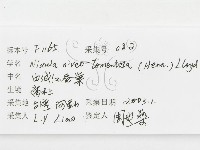 登錄號:F0001165藏品圖，第3張