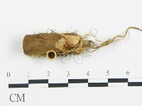 登錄號:F0001165藏品圖，第1張