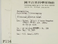 登錄號:F0001166藏品圖，第2張