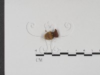 登錄號:F0001166藏品圖，第3張
