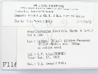 登錄號:F0001167藏品圖，第2張