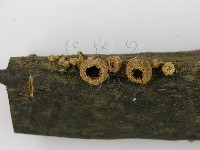 登錄號:F0001167藏品圖，第5張