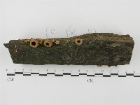 登錄號:F0001167藏品圖，第8張