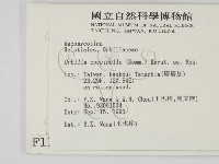 登錄號:F0001168藏品圖，第2張