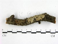 登錄號:F0001169藏品圖，第1張
