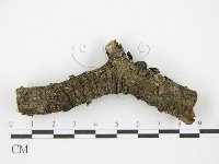 登錄號:F0001169藏品圖，第4張