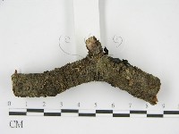 登錄號:F0001169藏品圖，第5張