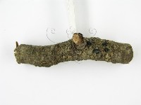 登錄號:F0001169藏品圖，第6張