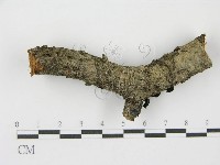 登錄號:F0001169藏品圖，第7張