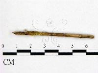 登錄號:F0001170藏品圖，第1張