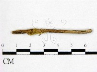 登錄號:F0001170藏品圖，第3張