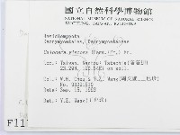 登錄號:F0001171藏品圖，第2張