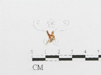 登錄號:F0001171藏品圖，第1張