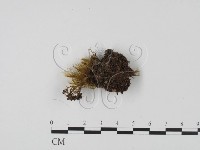 登錄號:F0001172藏品圖，第3張
