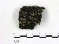 登錄號:F0001173藏品圖，第1張