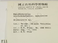 登錄號:F0001174藏品圖，第2張