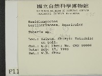 登錄號:F0001175藏品圖，第2張