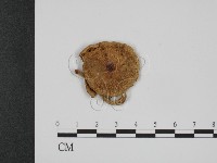 登錄號:F0001175藏品圖，第3張