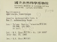 登錄號:F0001176藏品圖，第2張