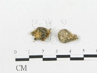 登錄號:F0001179藏品圖，第3張